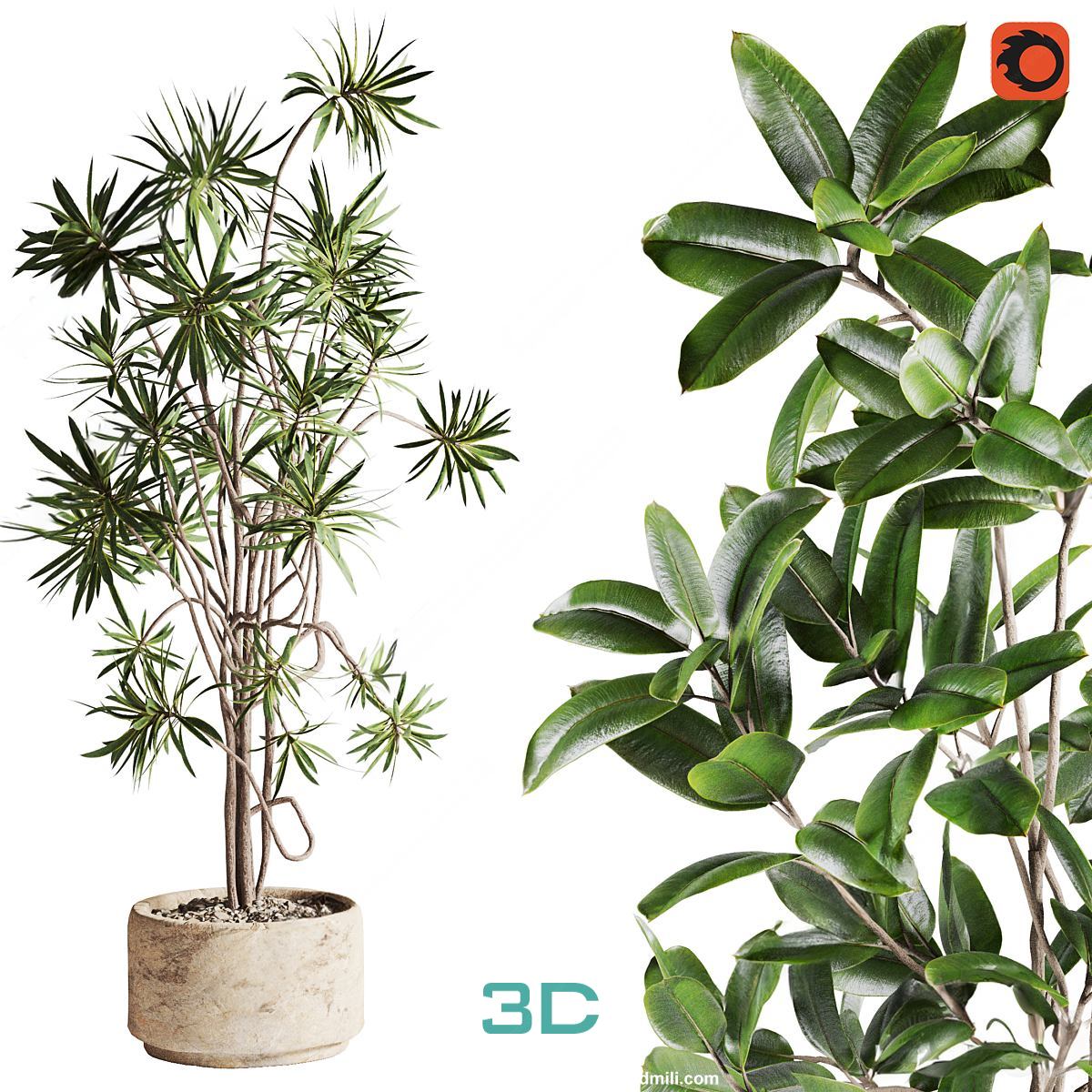 978.Sell Album Indoor Plant PRO Vol 01