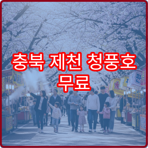 충북 제천 청풍호 무료 야간 영화상영 시간대와 좌석 배치