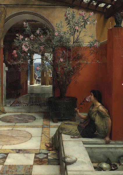 An Oleander