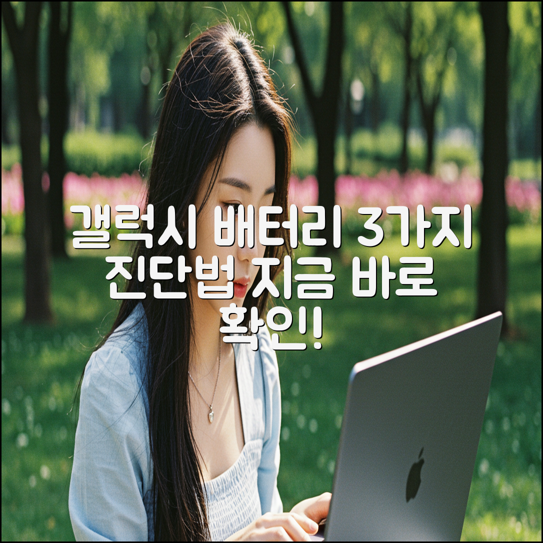 갤럭시 배터리 상태 3가지 점검법