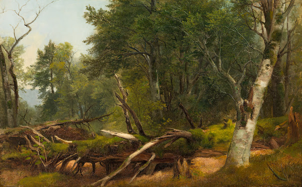 Forest Scene in the Catskills between 1855 and 1860