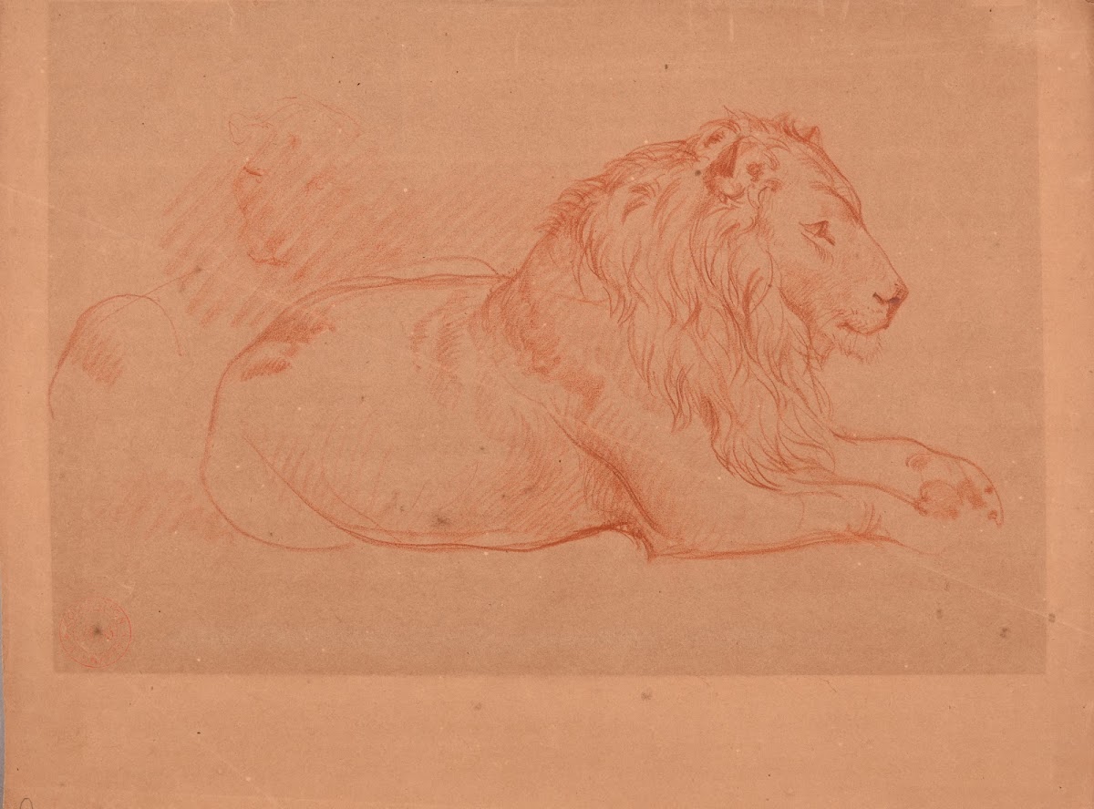Étude de lion couché