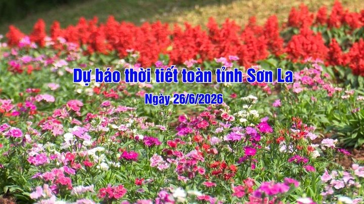 Dự báo thời tiết toàn tỉnh Sơn La ngày 26/6/2026 - Báo Sơn La