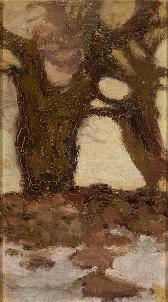 Willows 1903