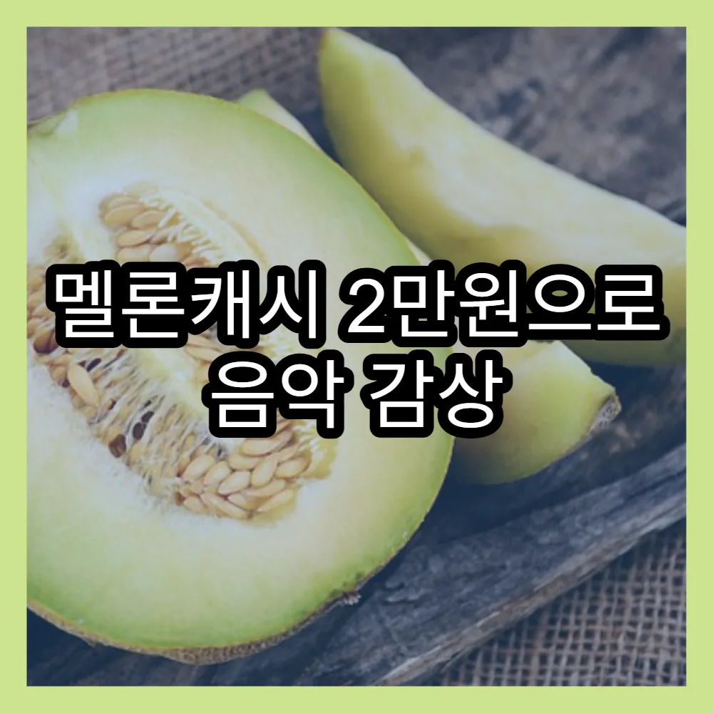 멜론캐시 2만원으로 음악 감상 혜택 최적화