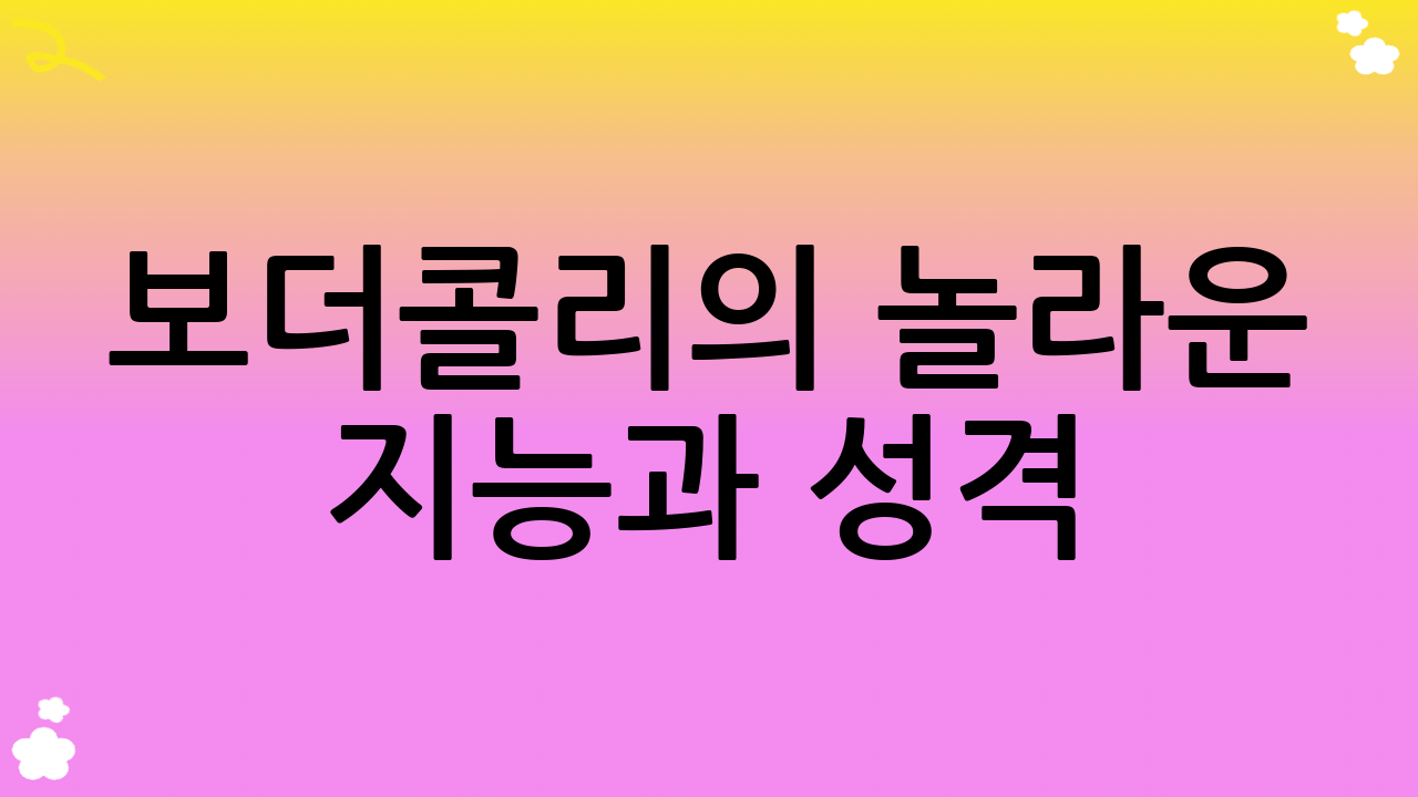 보더콜리의 놀라운 지능과 성격