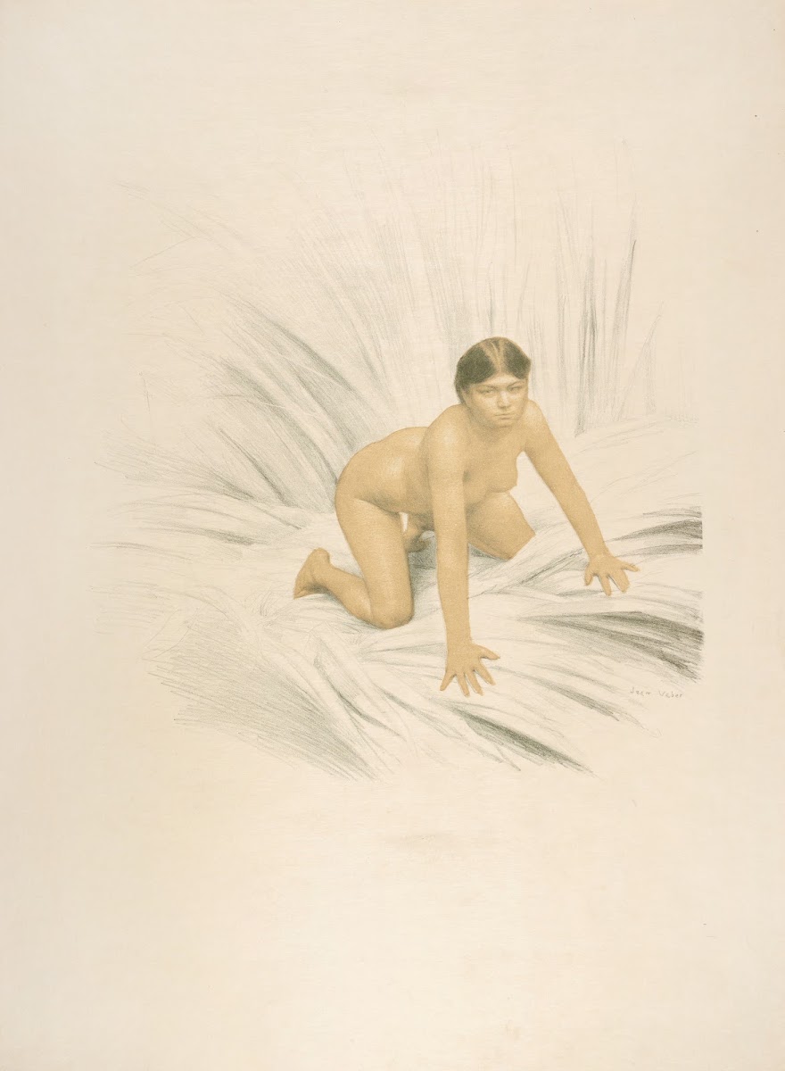 Rana 1896