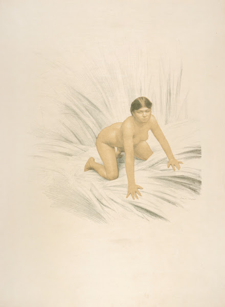 Rana 1896
