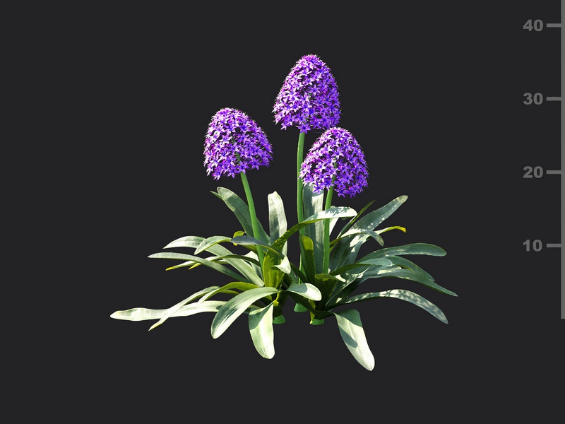 Maxtree - Plant Models Vol.115