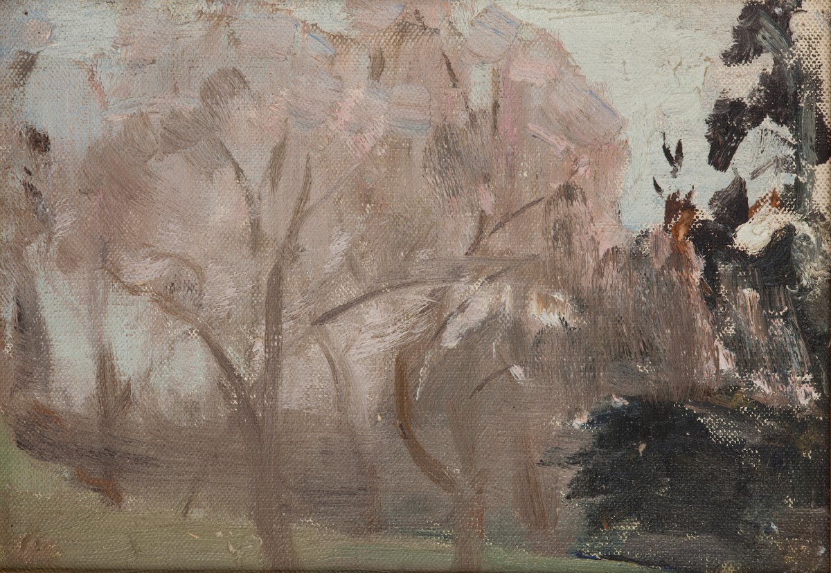 The Crimea Spring 1906