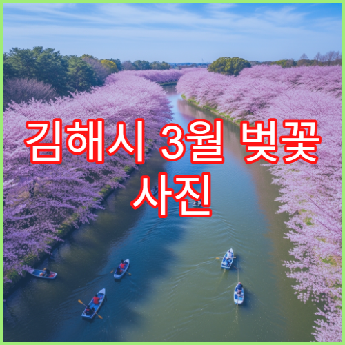 김해시 3월 벚꽃 사진 찍기 좋은 인생샷 포인트 모음