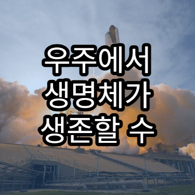 우주에서 생명체가 생존할 수 있는 행성 조건