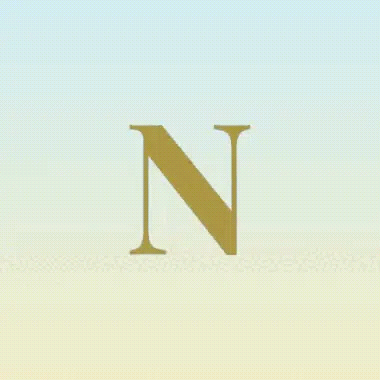 Captura de Neuralcanvas