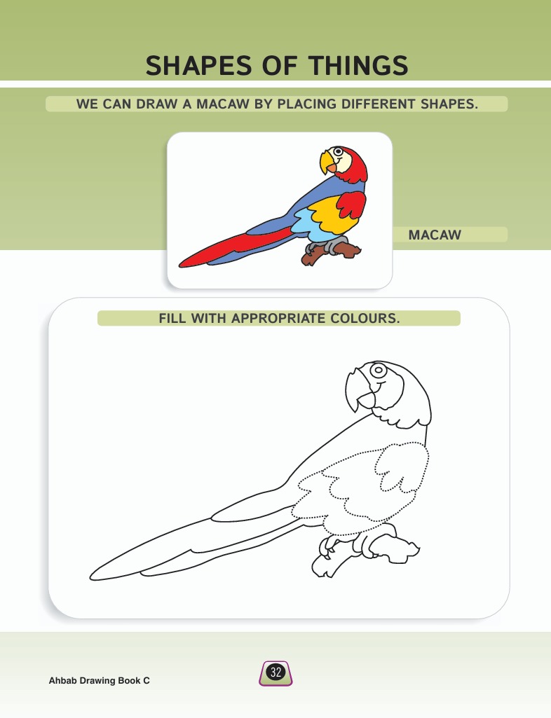 Drawing Book C - Activity Book