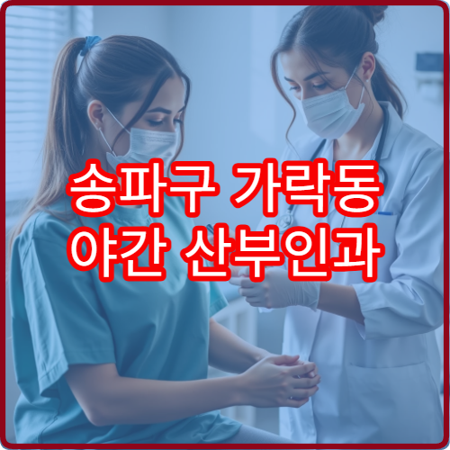 송파구 가락동 야간 산부인과 진료 가능한 병원 야간 진료 안내