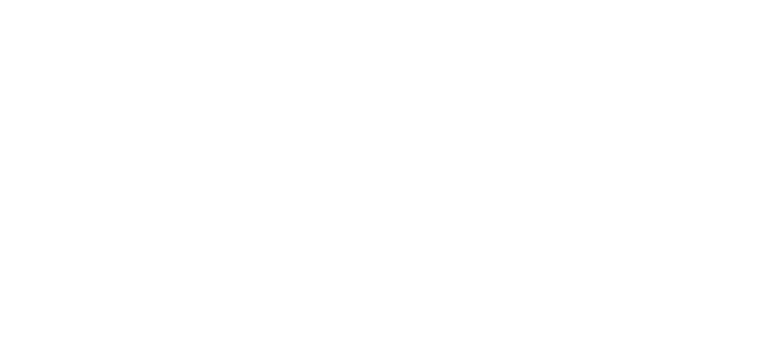 THE BROTHER