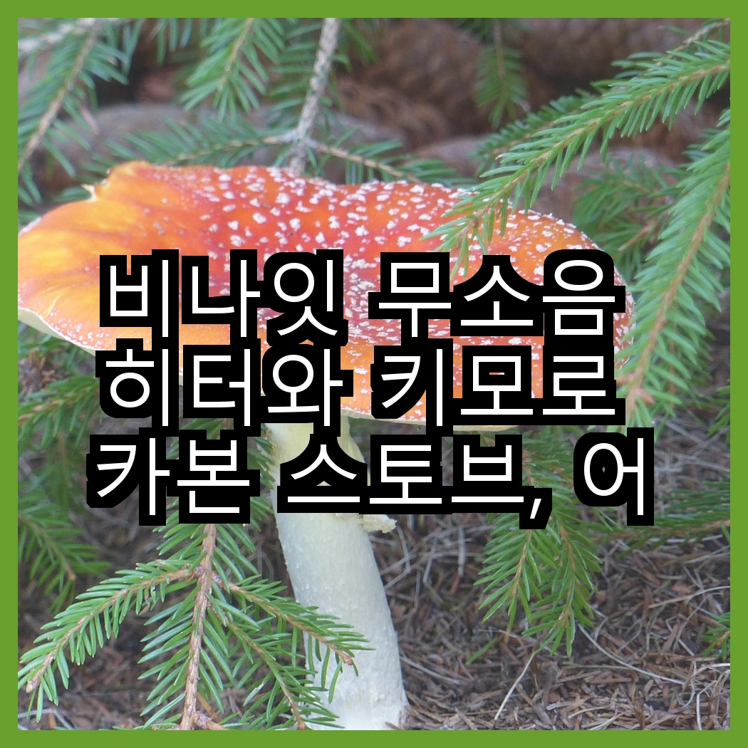 비나잇 무소음 히터와 키모로 카본 스토브, 어떤 선택이 따뜻함을 더해줄까요? 썸네일