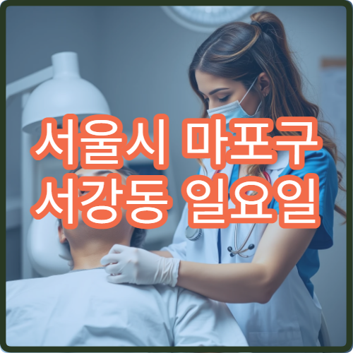 서울시 마포구 서강동 일요일 내과 복통 설사 진료