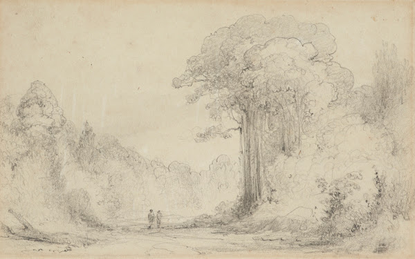 Entrance to Totara Grove Upper Hutt 1840