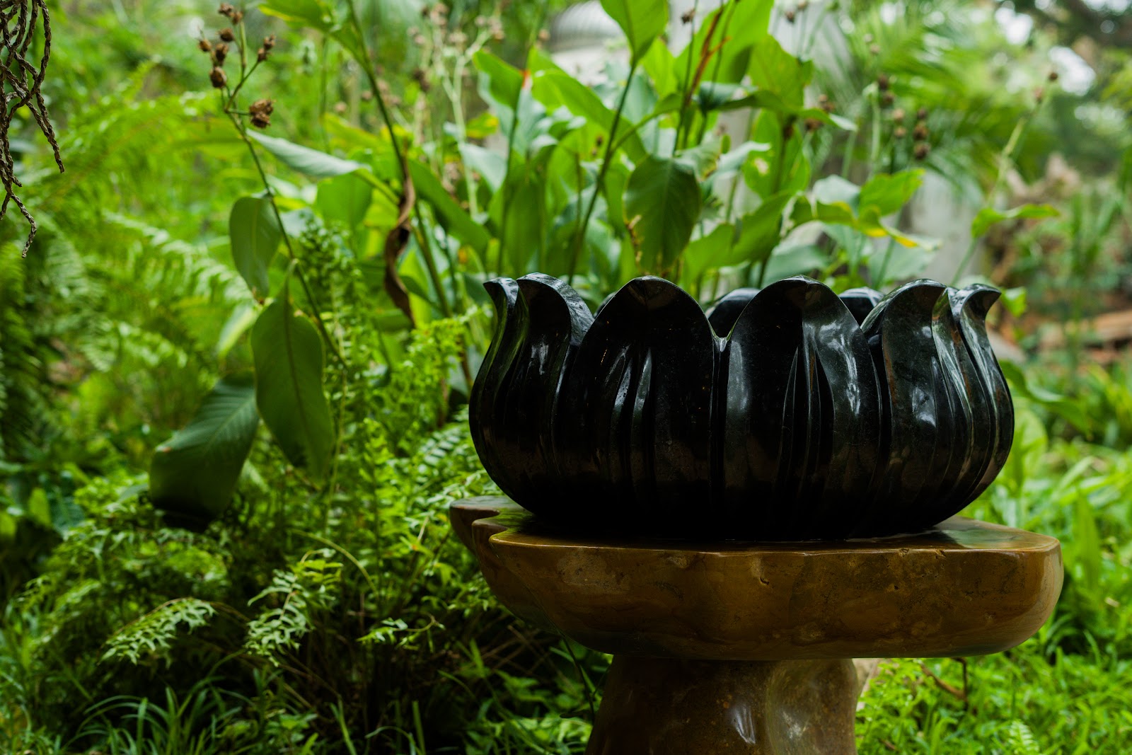 Lotus Petal Water Bowl, studio view 4