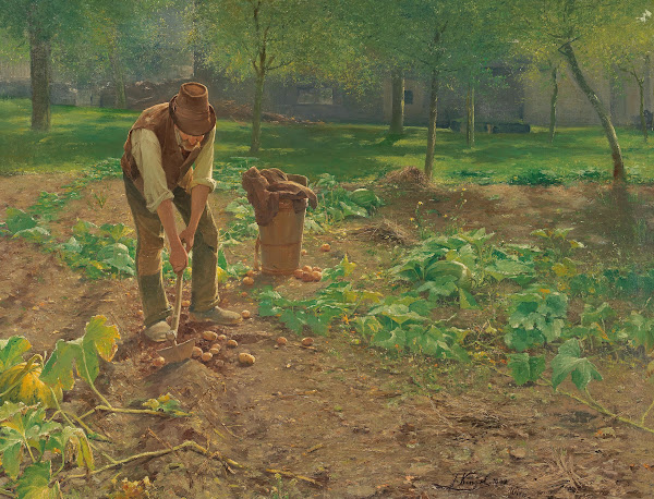The Potato Harvest 1902