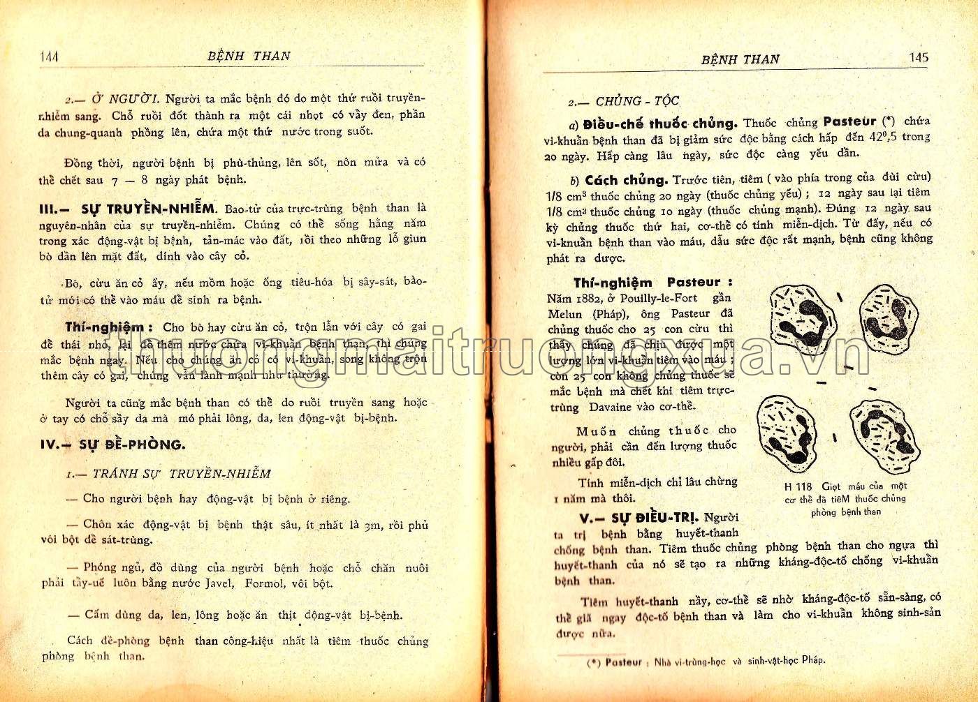 Vạn vật học lớp đệ tứ (1967) - Trang 73