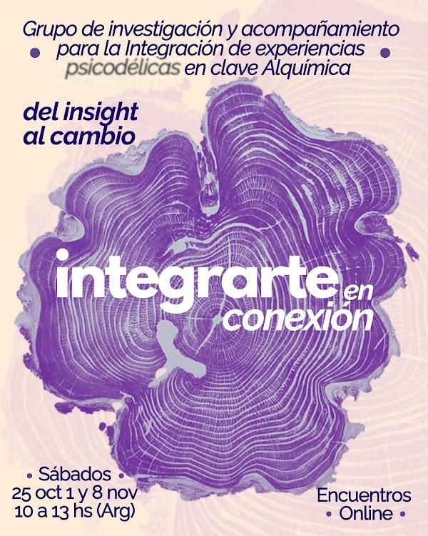 IntegrArte en Conexión