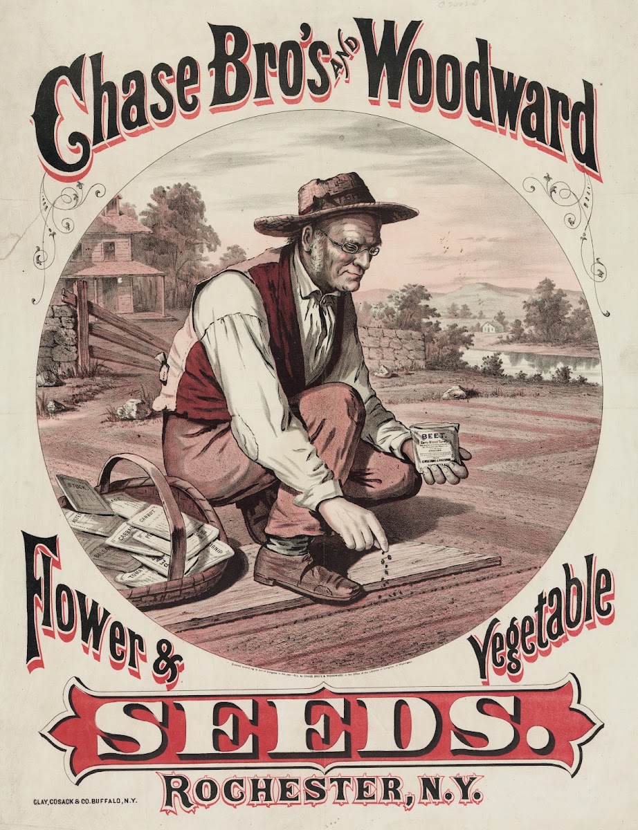 Chase Bros and Woodward Flower  vegetable seeds