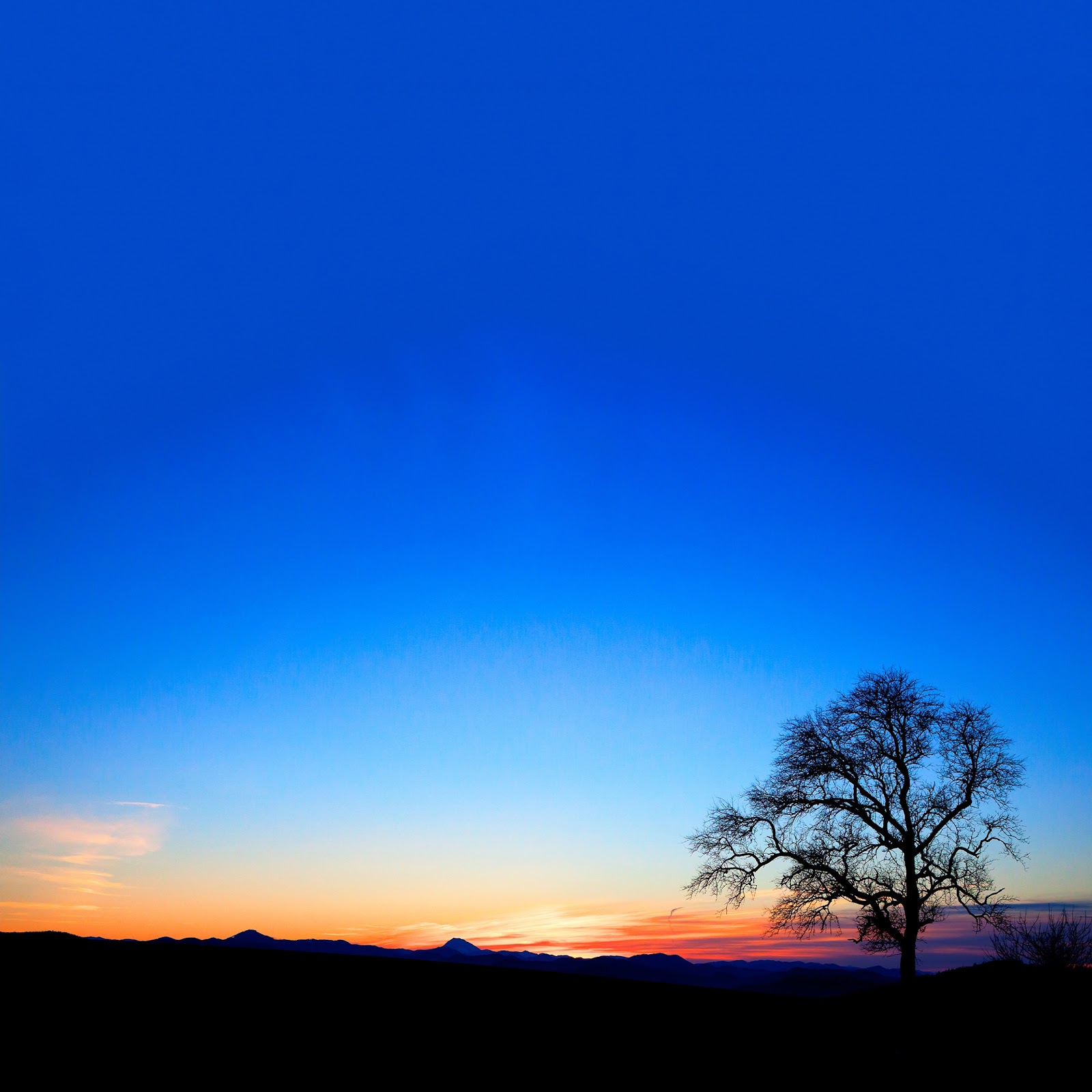 Download Silhouette, Sunset, Landscape, Tree 2K iPhone