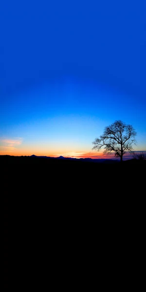 Silhouette, Sunset, Landscape, Tree 2K iPhone Wallpaper Background