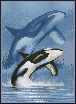 CMP 290056 Whale