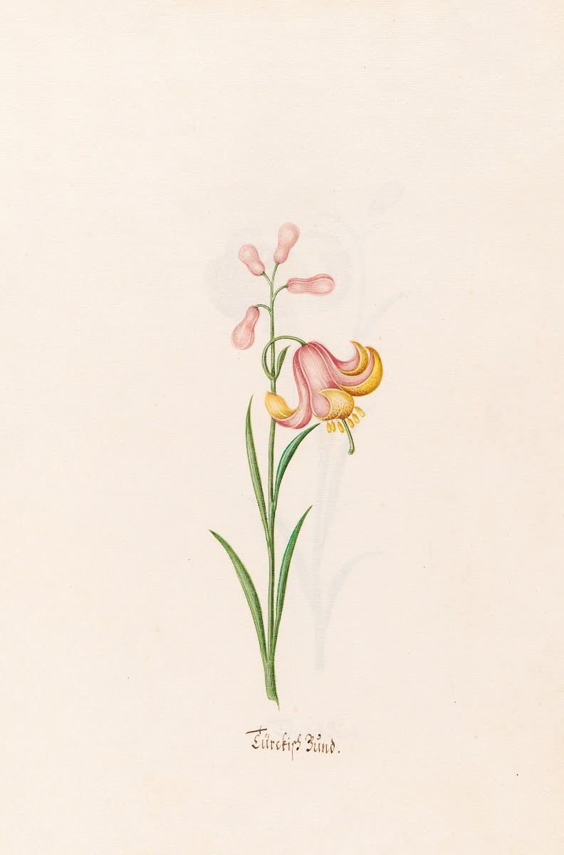 Türckish Bünd 1692