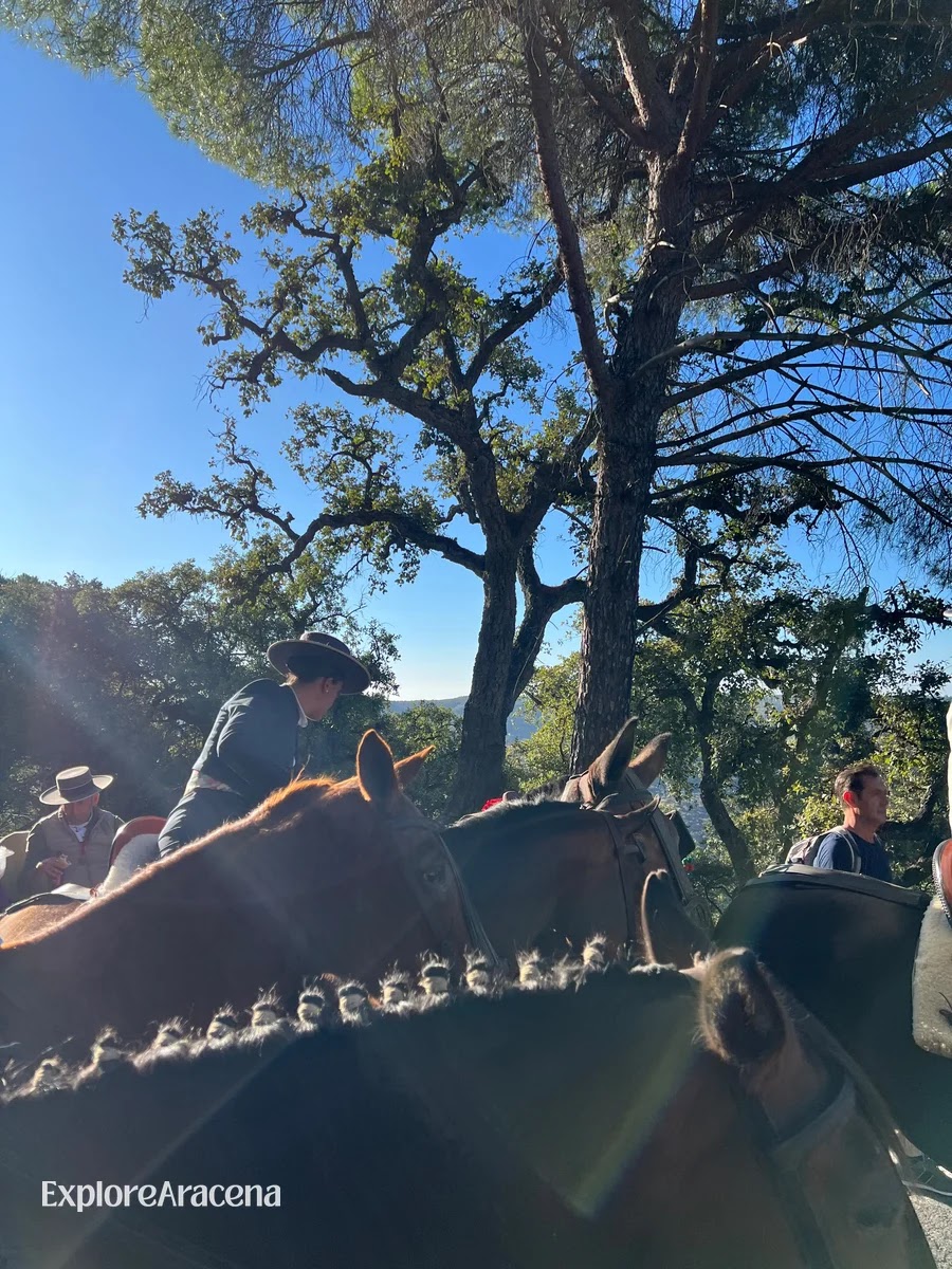 Riders on horseback gathered beneath oak and pine trees during the Reina de los Ángeles romería