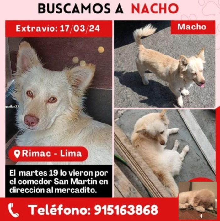 NACHO
