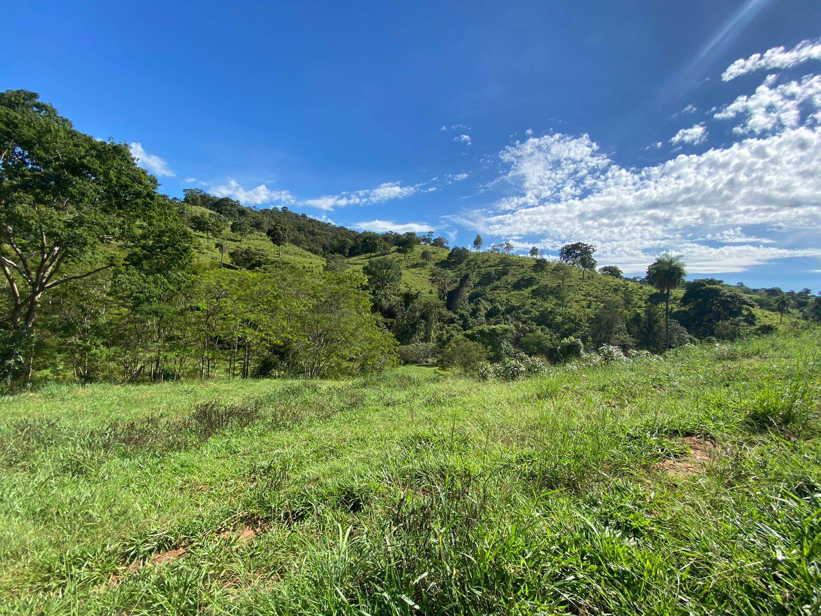 Fazenda em Uruaçu - GO 2