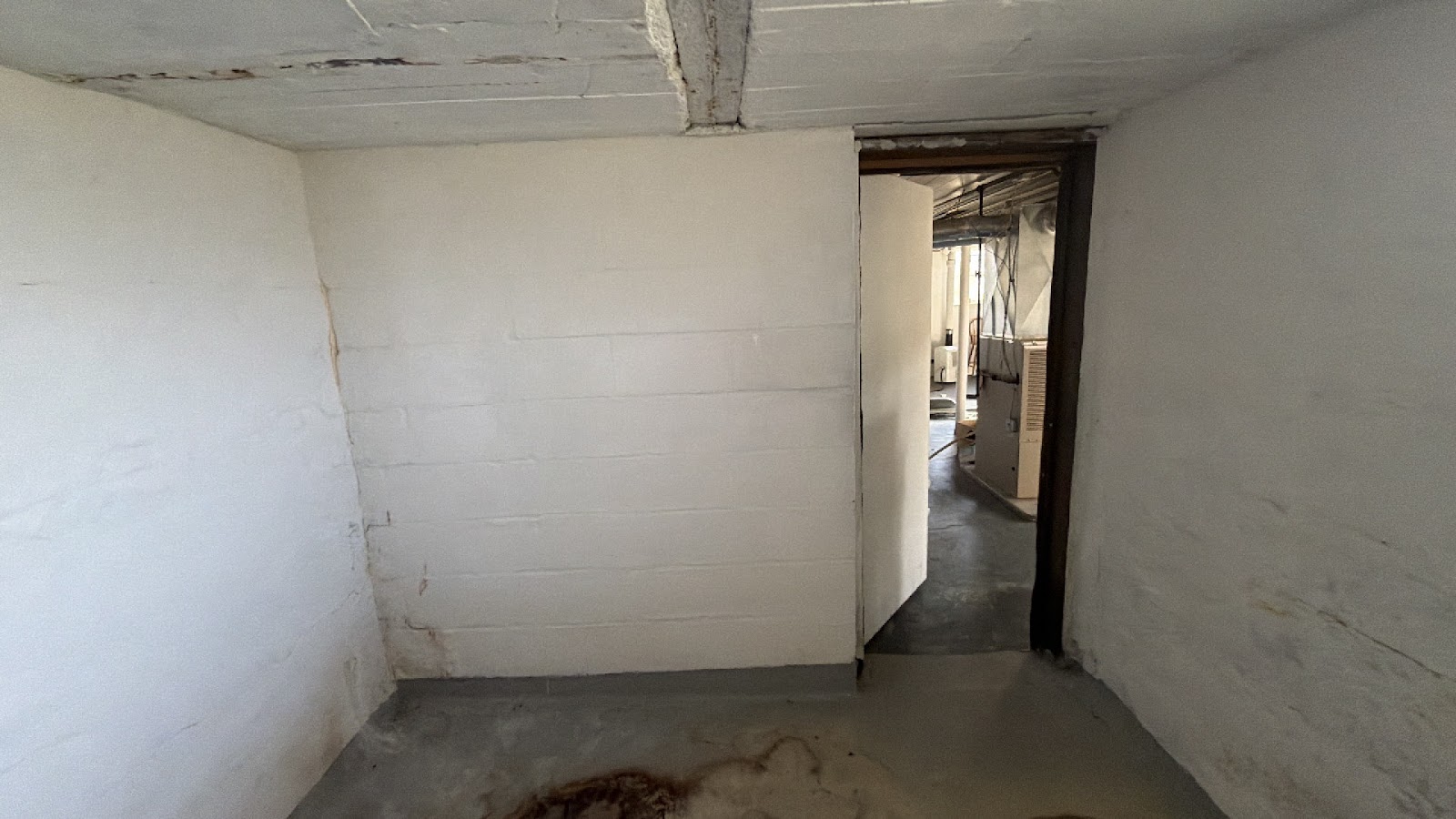 Copy of IMG_2026-03-12_16-40-51_098.jpg