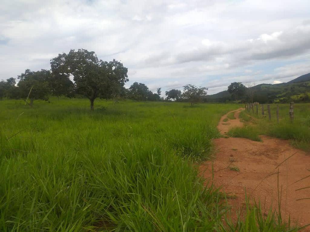 Fazenda em Trombas - GO 5