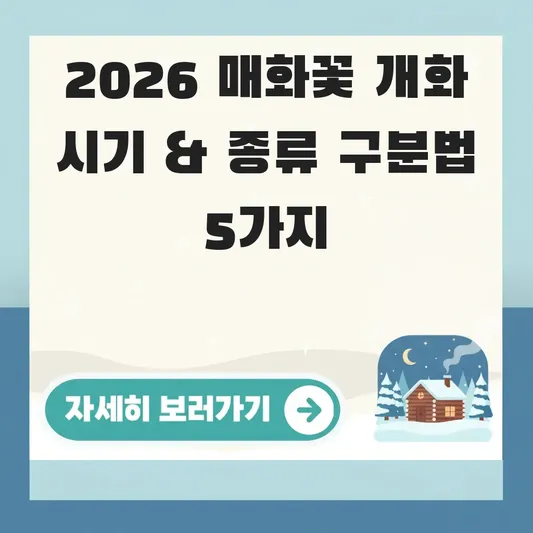 매화꽃 개화 시기 종류 구분법