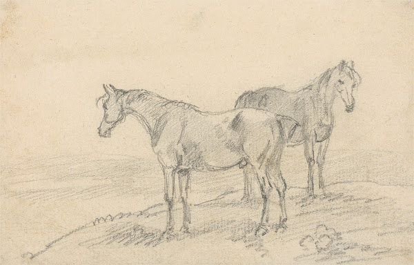 Two Horses