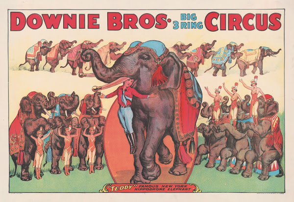 Downie Bros Big 3 ring circus Teddy famous New York hippodrome elephant 1920 193