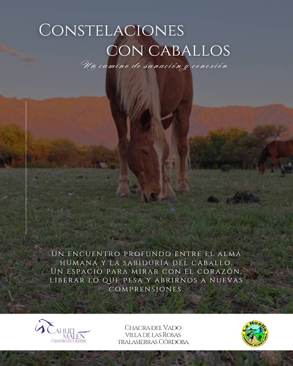 Constelaciones con Caballos