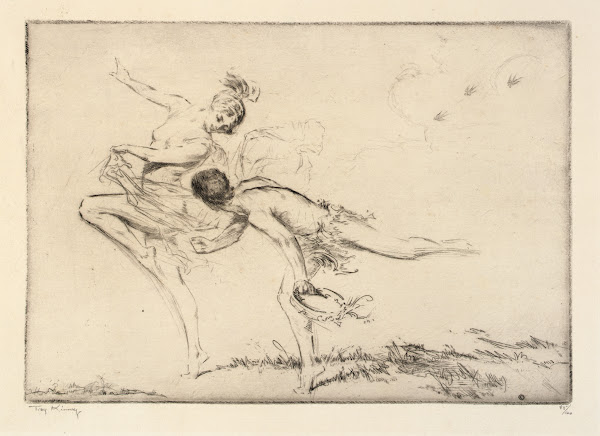 Swallows