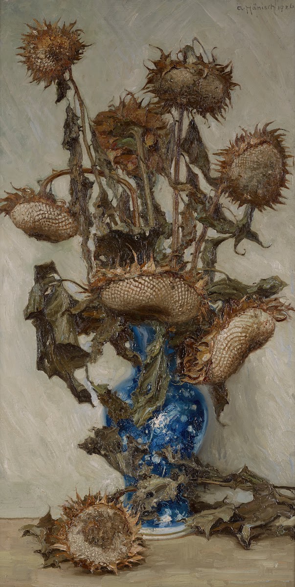 Helianthus 1926