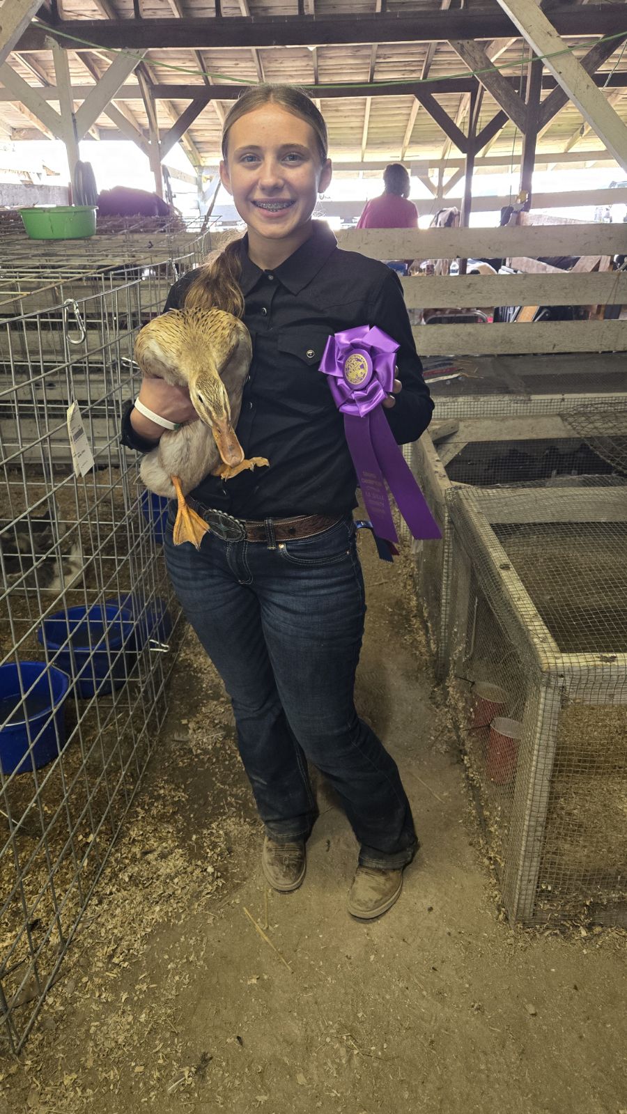 Silver Appleyard Duckling