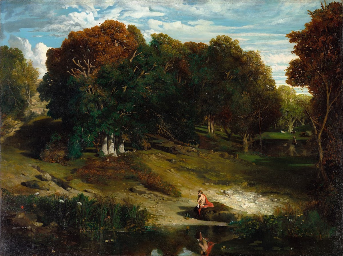 In the Forest 1841