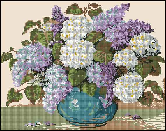 CMP 171113 Liliac
