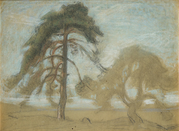 Pine Trees Tyresö 1910