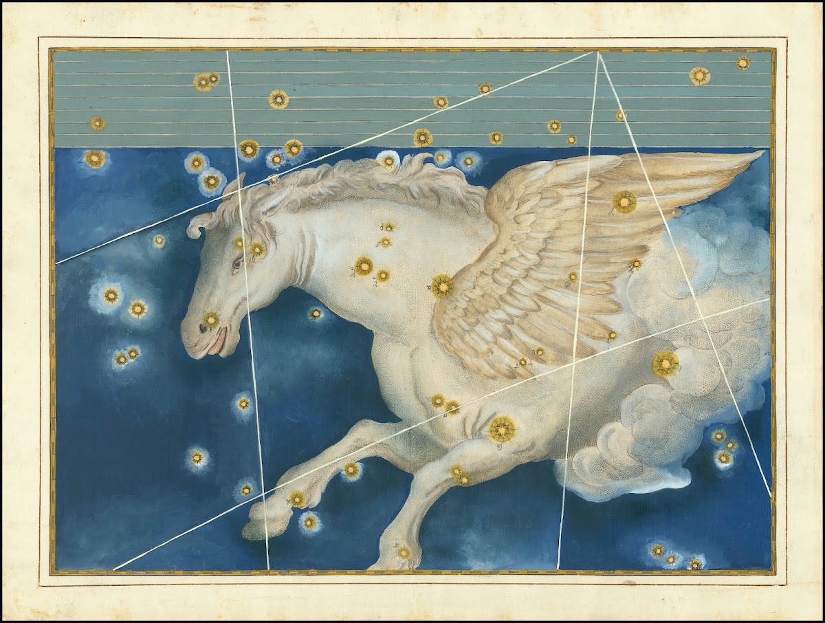 Pegasus 1603