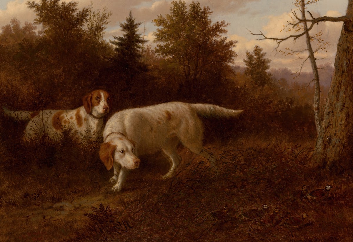 Setters and Quail 1865