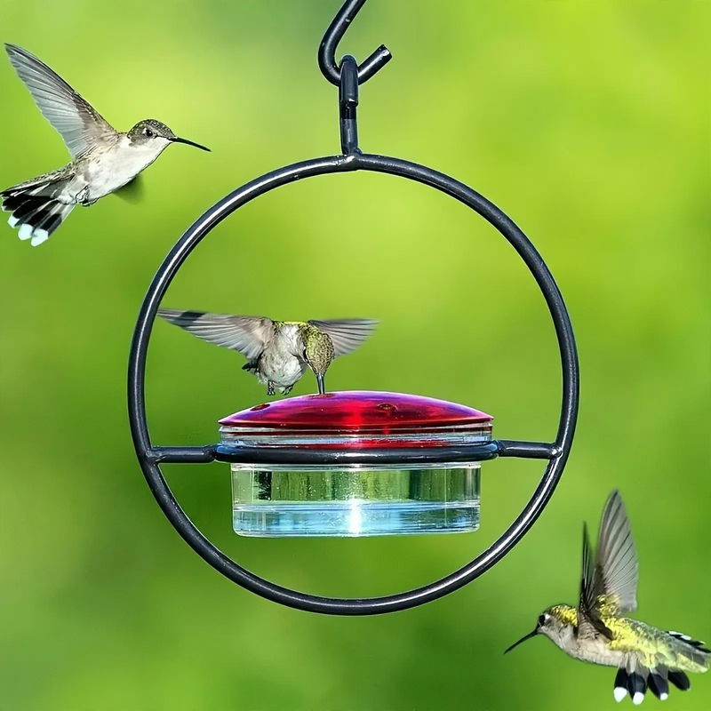 Hanging feeder and water source for hummingbirds